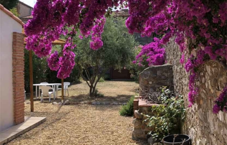 Pleine Conscience Perpignan - Jardin